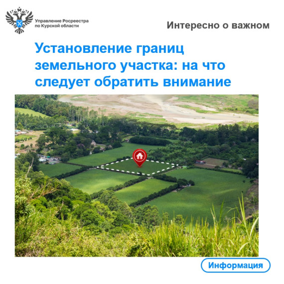 Установление границ земельного участка: на что следует обратить внимание. Установление границ земельного участка: на что следует обратить внимание.